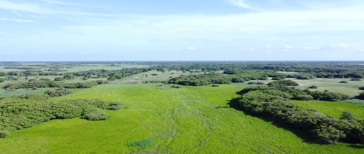 Foto de rancho en venta en  , alvarado centro, alvarado, veracruz de ignacio de la llave, 30286906 No. 05