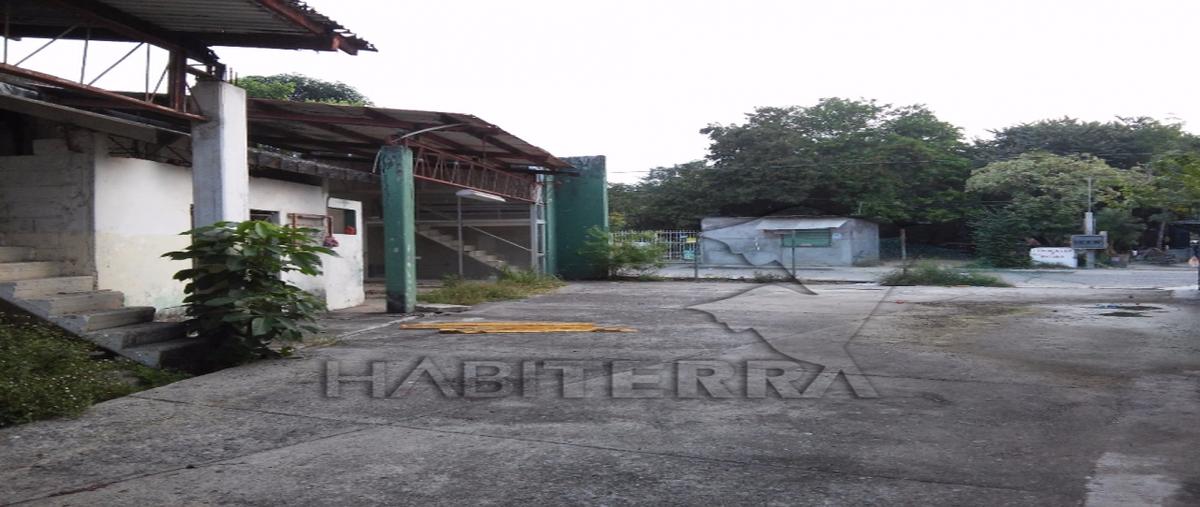 Foto de terreno comercial en renta en  , álvarez, tuxpan, veracruz de ignacio de la llave, 20549390 No. 03