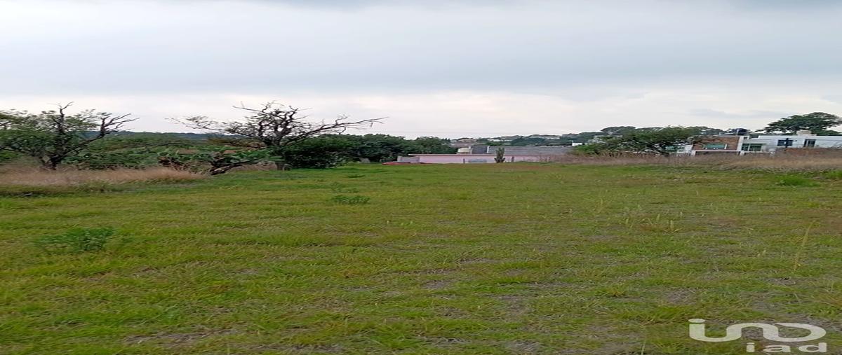 Foto de terreno habitacional en venta en alvaro obregon 118, santiago tepeticpac, totolac, tlaxcala, 0 No. 03