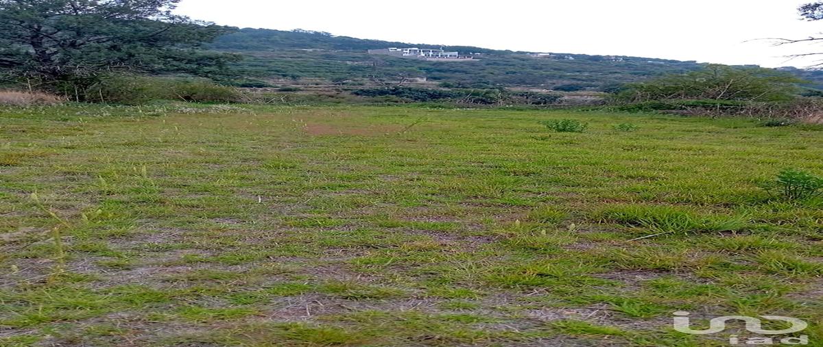 Foto de terreno habitacional en venta en alvaro obregon 118, santiago tepeticpac, totolac, tlaxcala, 0 No. 04