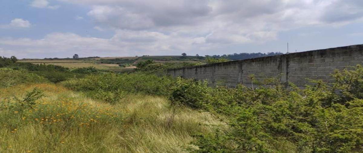 Foto de terreno habitacional en venta en álvaro obregón , buenavista, ixtlahuacán de los membrillos, jalisco, 30562157 No. 03