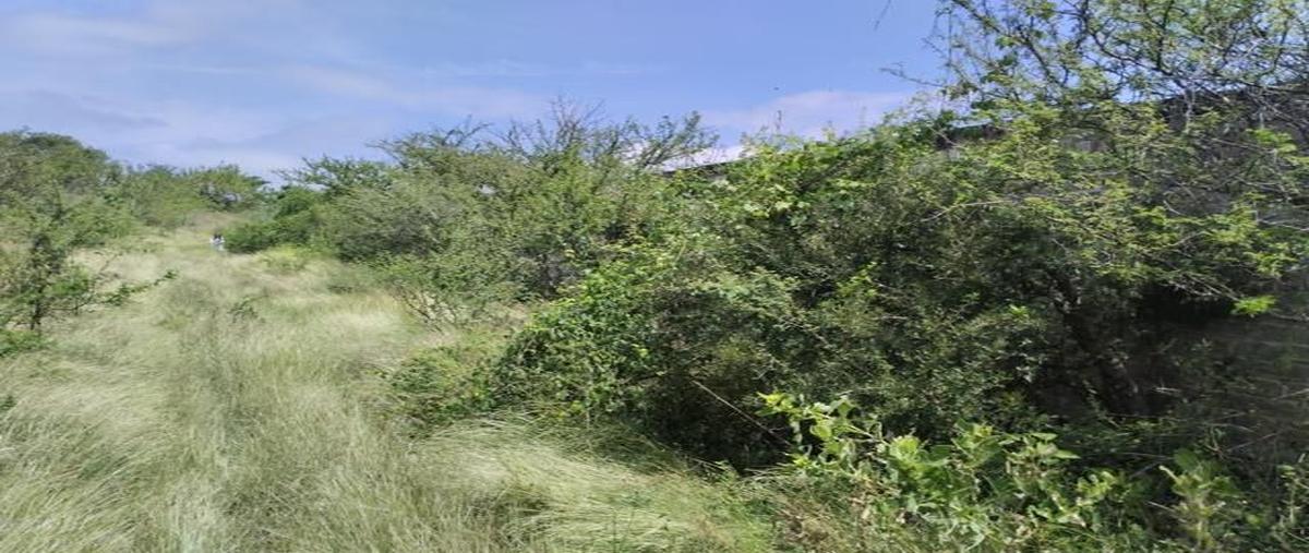 Foto de terreno habitacional en venta en álvaro obregón , buenavista, ixtlahuacán de los membrillos, jalisco, 30562157 No. 04
