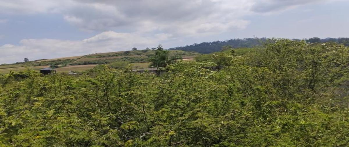 Foto de terreno habitacional en venta en álvaro obregón , buenavista, ixtlahuacán de los membrillos, jalisco, 30562157 No. 05