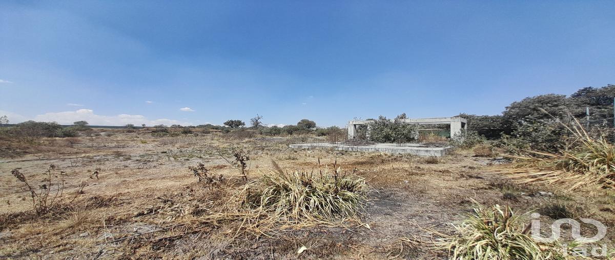 Foto de terreno comercial en venta en álvaro obregón , calimaya de diaz gonzález, calimaya, méxico, 0 No. 05