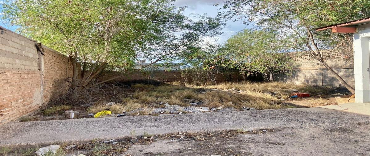 Foto de local en venta en álvaro obregon , industrial, caborca, sonora, 0 No. 03