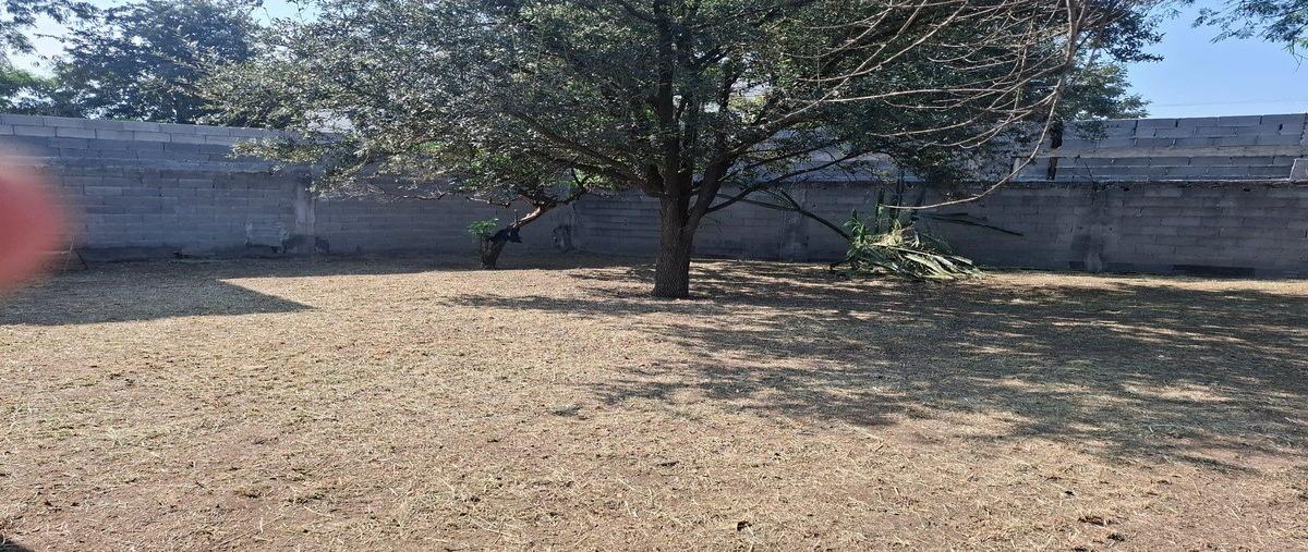 Foto de casa en venta en  , álvaro obregón, monterrey, nuevo león, 0 No. 06