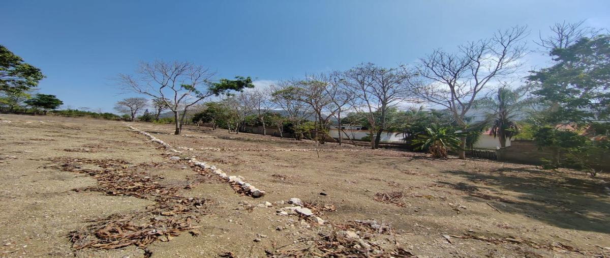 Foto de terreno habitacional en , álvaro obregón, san fernando, chiapas, 28017304 foto 03 Foto de terreno habitacional en venta en , álvaro obregón, san fernando, chiapas, 28017304 No. 03