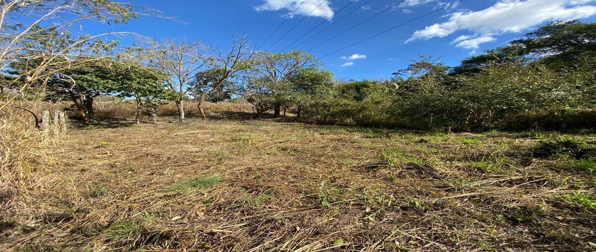 Foto de terreno habitacional en , álvaro obregón, san fernando, chiapas, 28406655 foto 02 Foto de terreno habitacional en venta en , álvaro obregón, san fernando, chiapas, 28406655 No. 02