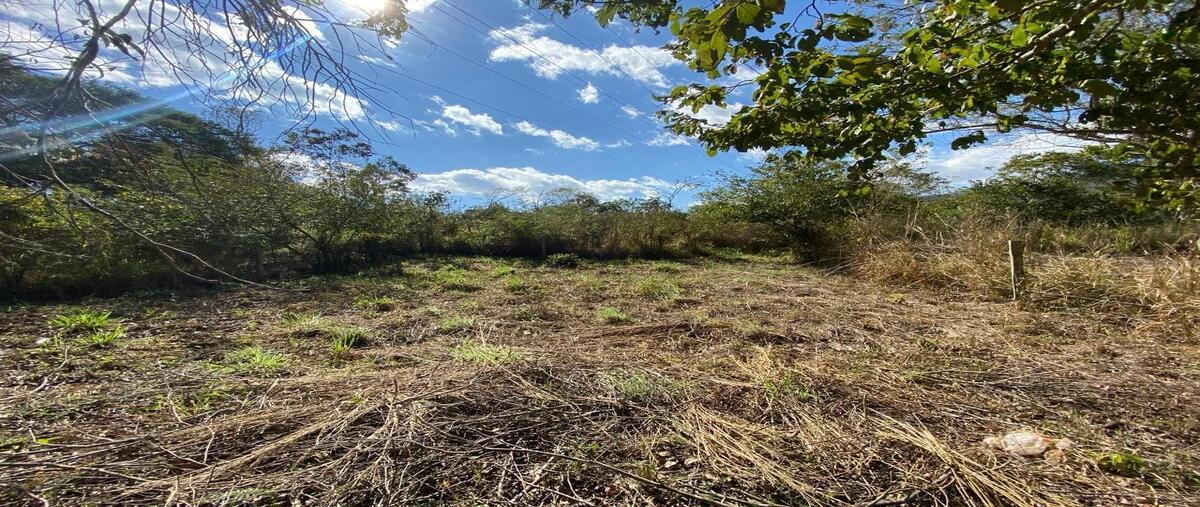 Foto de terreno habitacional en , álvaro obregón, san fernando, chiapas, 28406655 foto 03 Foto de terreno habitacional en venta en , álvaro obregón, san fernando, chiapas, 28406655 No. 03