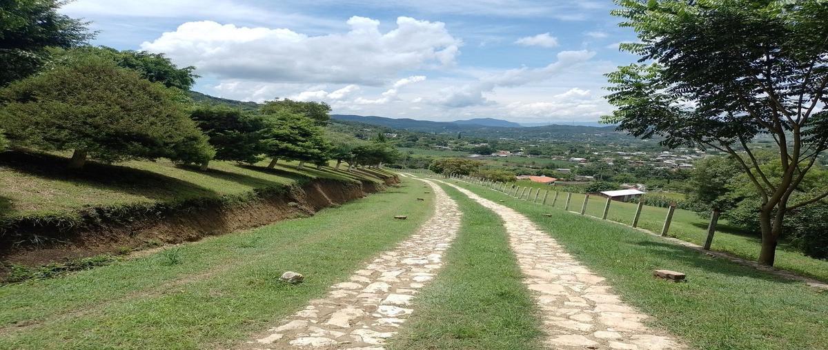 Foto de rancho en álvaro obregón, san fernando, chiapas, 29120 , sagualoma, san fernando, chiapas, 25329903 foto 03 Foto de rancho en venta en álvaro obregón, san fernando, chiapas, 29120 , sagualoma, san fernando, chiapas, 25329903 No. 03