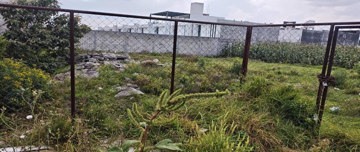 Foto de terreno habitacional en venta en  , álvaro obregón, san mateo atenco, méxico, 0 No. 05