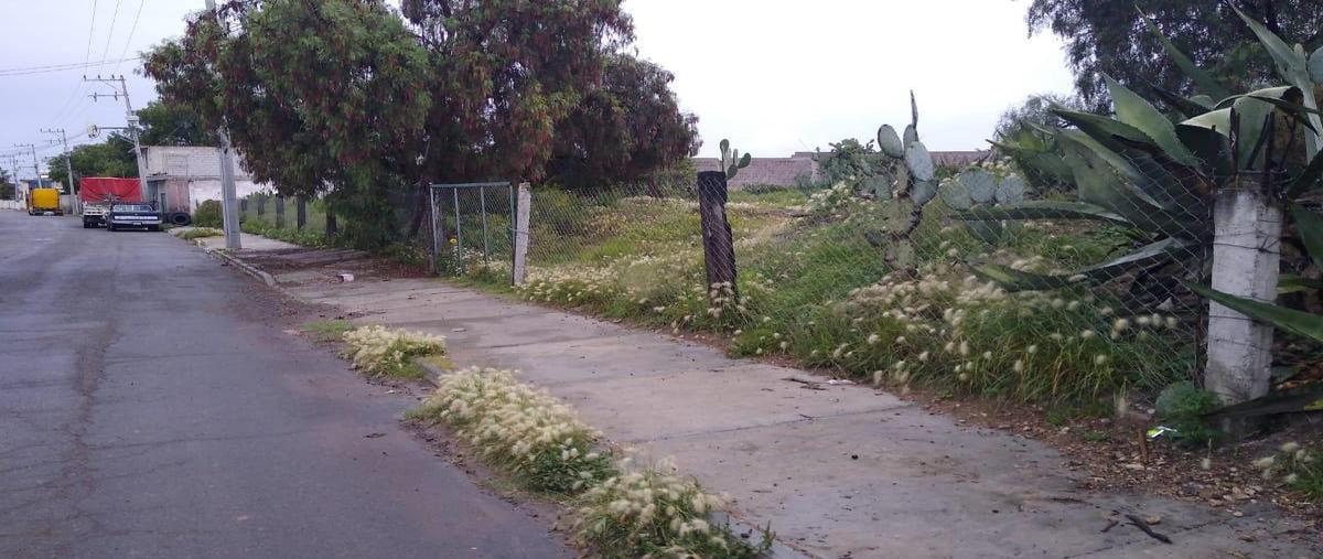Foto de terreno habitacional en venta en  , álvaro obregón, temascalapa, méxico, 0 No. 04