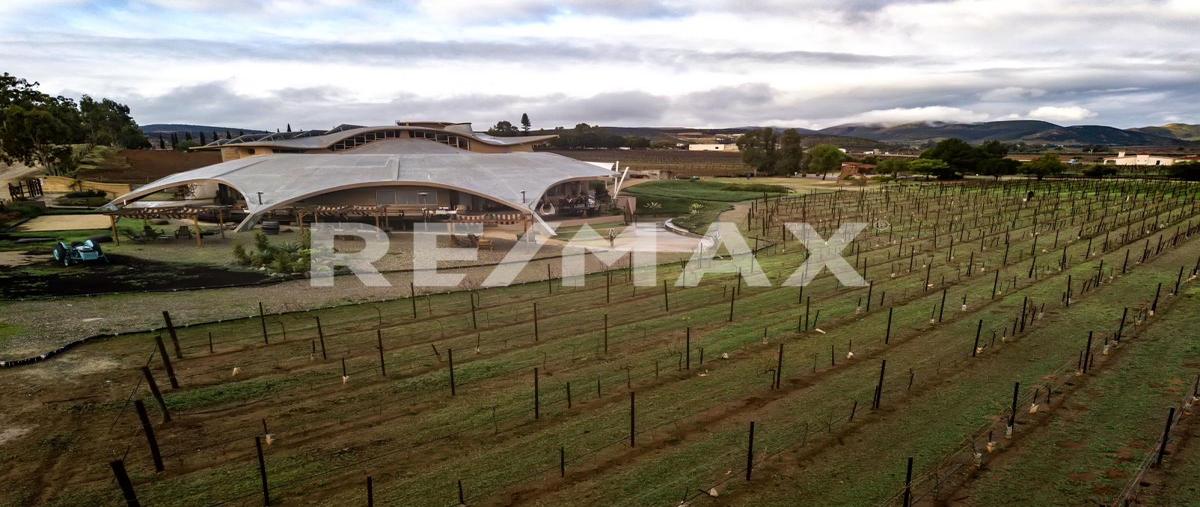 Foto de terreno comercial en alximia camino las lomas al tigre kilometro 3, villa de juárez , villa de juárez, ensenada, baja california, 29979851 foto 01 Foto de terreno comercial en venta en alximia camino las lomas al tigre kilometro 3, villa de juárez , villa de juárez, ensenada, baja california, 29979851 No. 01