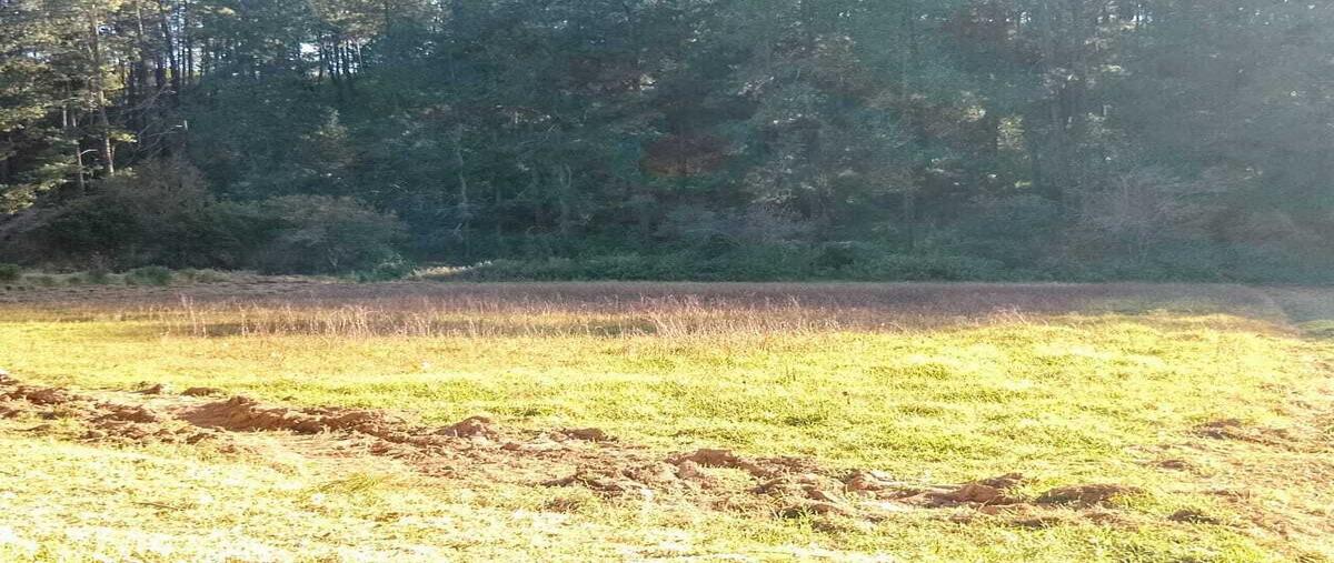 Foto de terreno habitacional en venta en amanalco , amanalco de becerra, amanalco, méxico, 28943121 No. 03