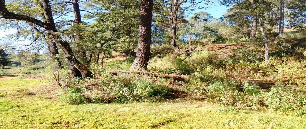 Foto de terreno habitacional en venta en amanalco , amanalco de becerra, amanalco, méxico, 28943121 No. 05