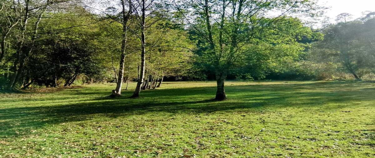 Foto de terreno habitacional en venta en amanalco , amanalco de becerra, amanalco, méxico, 0 No. 03