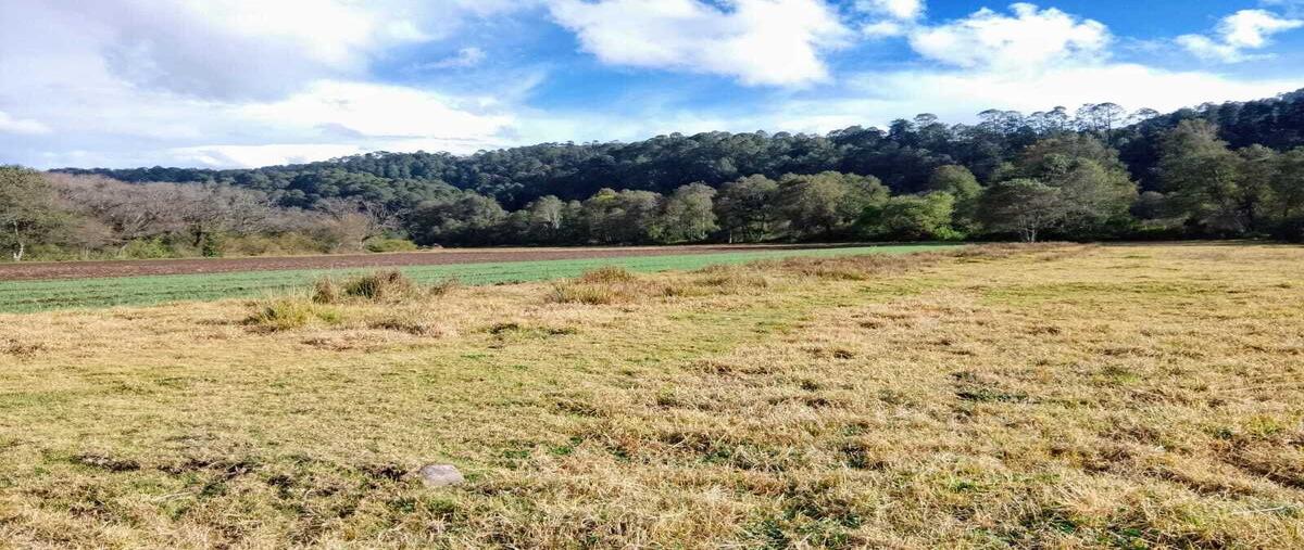 Foto de terreno habitacional en amanalco , amanalco de becerra, amanalco, méxico, 0 foto 01 Foto de terreno habitacional en venta en amanalco , amanalco de becerra, amanalco, méxico, 0 No. 01