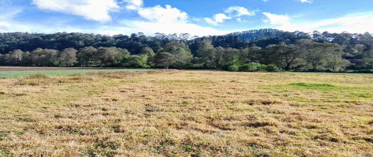 Foto de terreno habitacional en amanalco , amanalco de becerra, amanalco, méxico, 0 foto 03 Foto de terreno habitacional en venta en amanalco , amanalco de becerra, amanalco, méxico, 0 No. 03