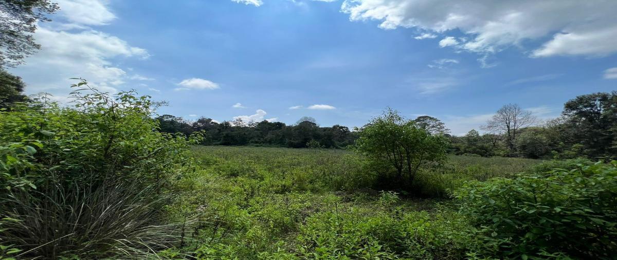 Foto de terreno habitacional en venta en amanalco de becerra , amanalco de becerra, amanalco, méxico, 27069844 No. 03