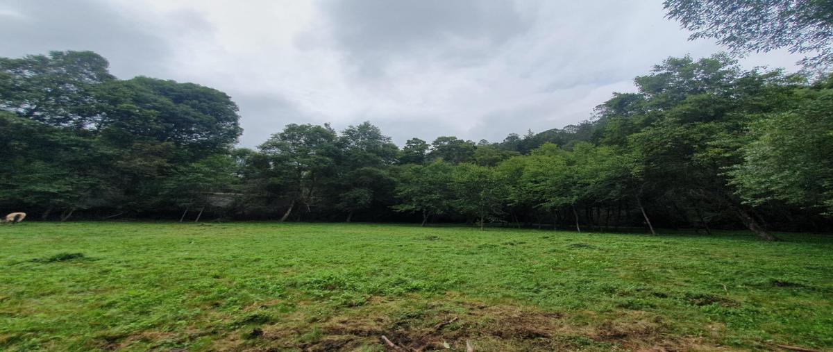 Foto de terreno habitacional en venta en  , amanalco de becerra, amanalco, méxico, 0 No. 03