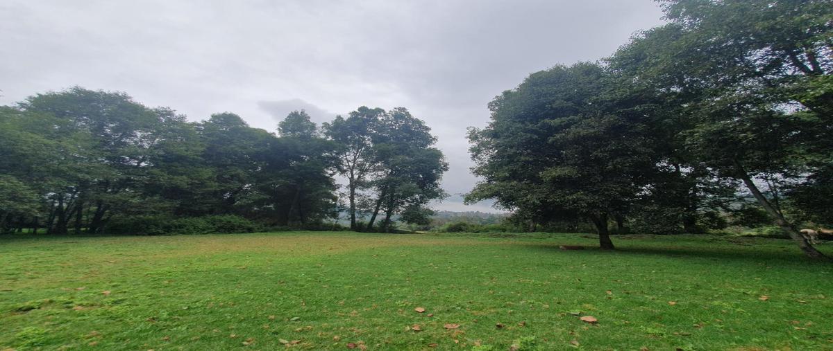 Foto de terreno habitacional en venta en  , amanalco de becerra, amanalco, méxico, 0 No. 04