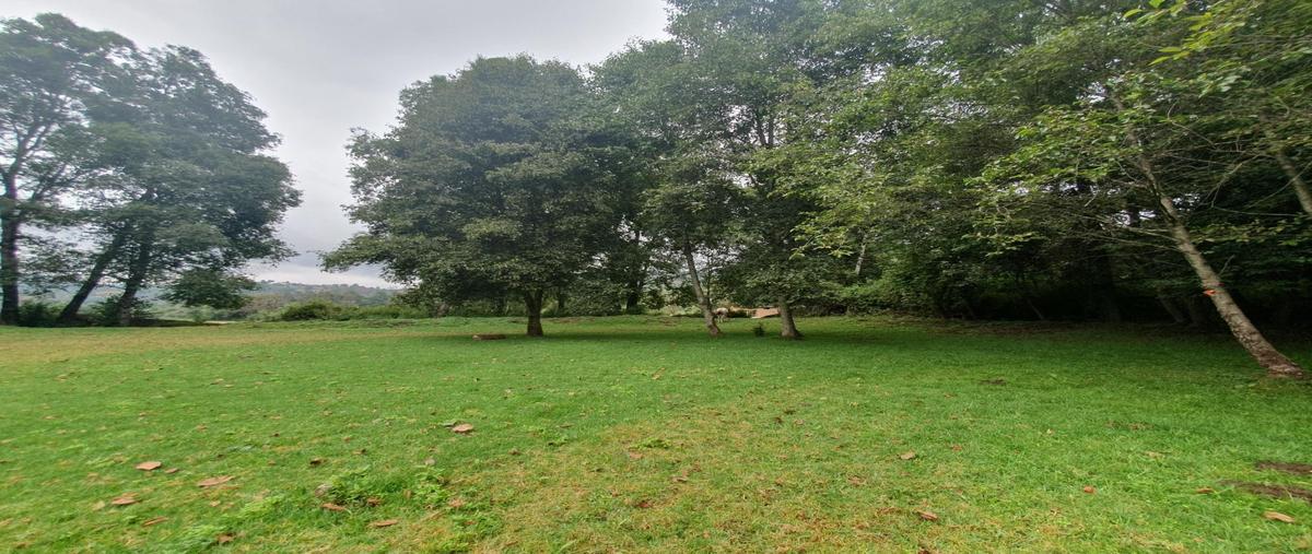 Foto de terreno habitacional en venta en  , amanalco de becerra, amanalco, méxico, 0 No. 05