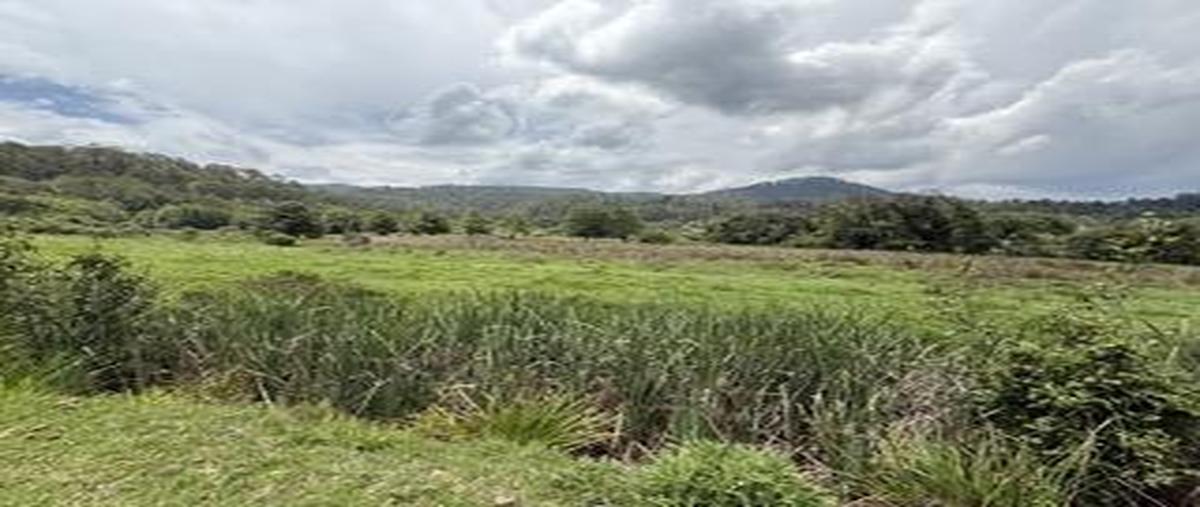 Foto de terreno habitacional en venta en  , amanalco de becerra, amanalco, méxico, 0 No. 03