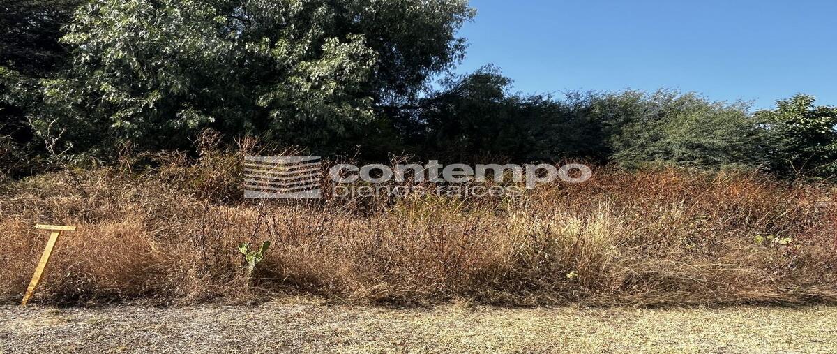 Foto de terreno habitacional en venta en amanali country club & náutica , club de golf amanali, tepeji del río de ocampo, hidalgo, 0 No. 03