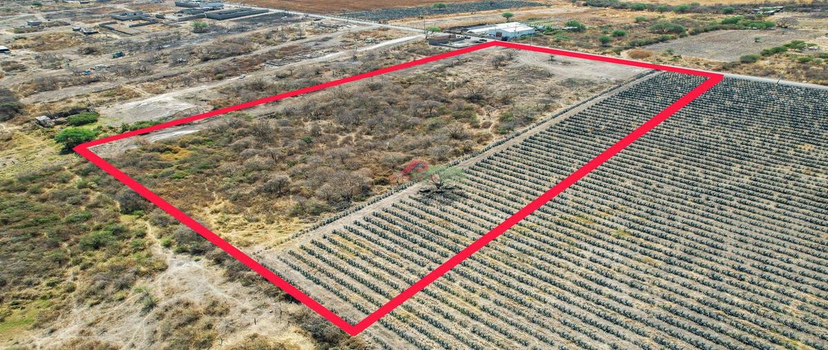 Foto de terreno habitacional en venta en amapola , la calera, tlajomulco de zúñiga, jalisco, 30491959 No. 03