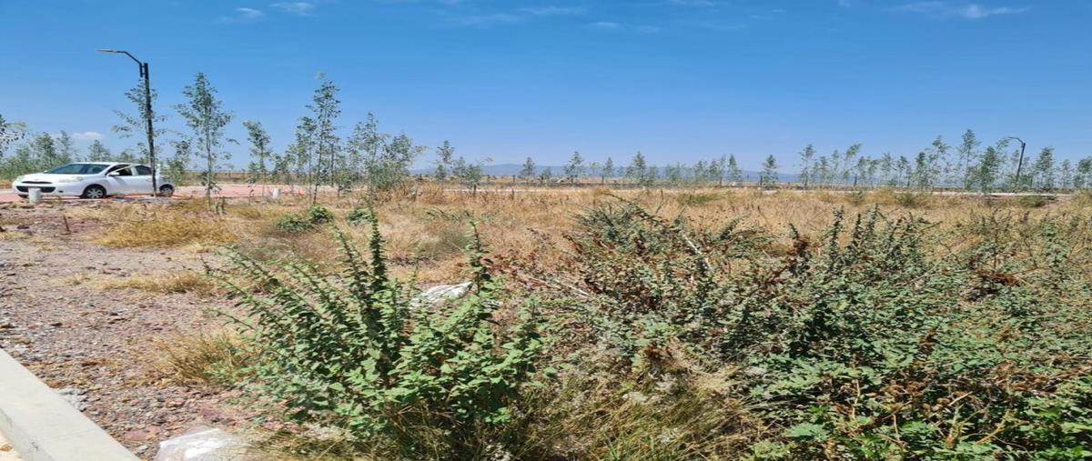 Foto de terreno habitacional en venta en amaranto 46, el sabino, apaseo el alto, guanajuato, 30253495 No. 05