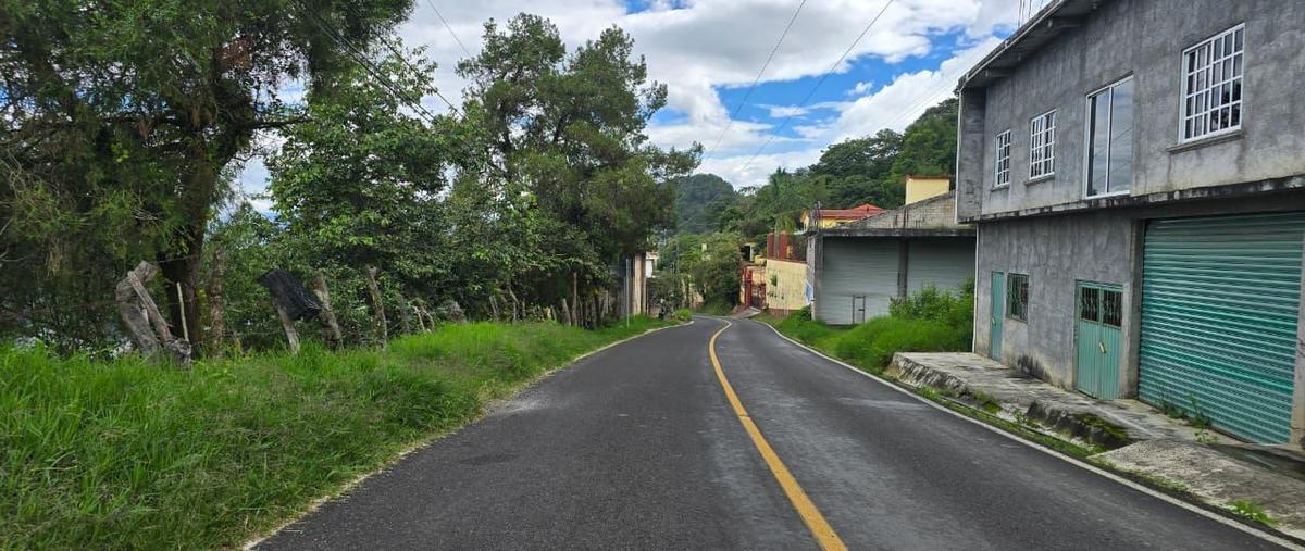 Foto de terreno habitacional en venta en  , amatepec, amatepec, méxico, 0 No. 04