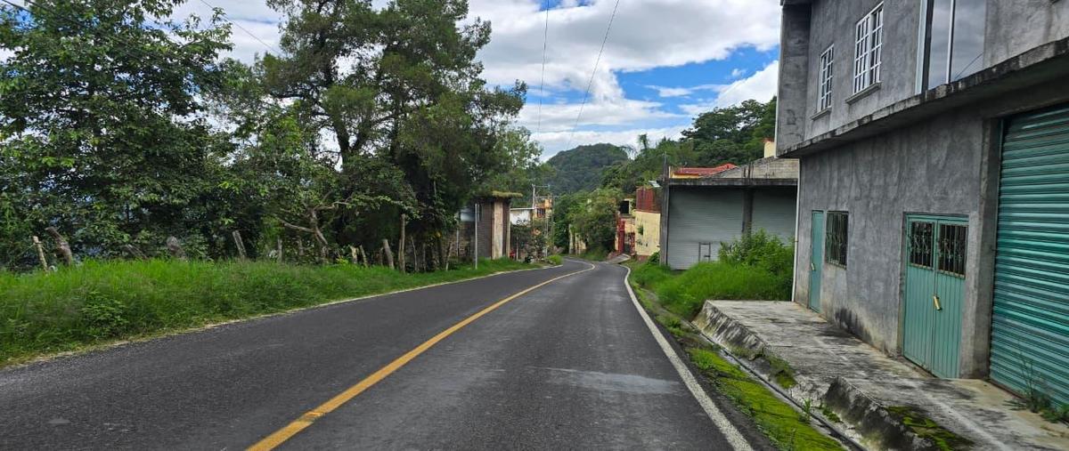 Foto de terreno habitacional en venta en  , amatepec, amatepec, méxico, 0 No. 05