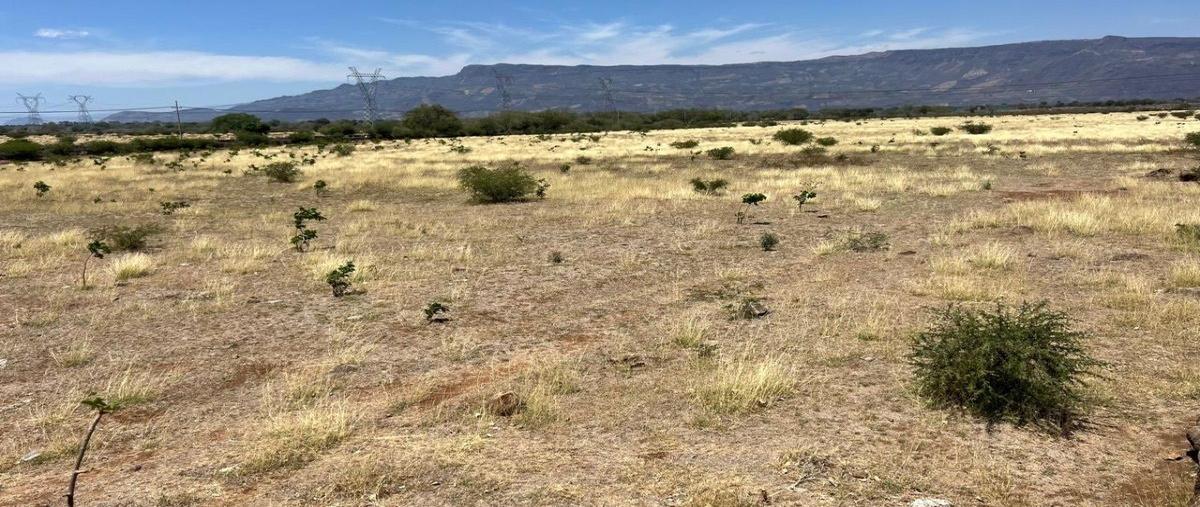 Foto de terreno habitacional en venta en  , amatitan, amatitán, jalisco, 27995421 No. 03