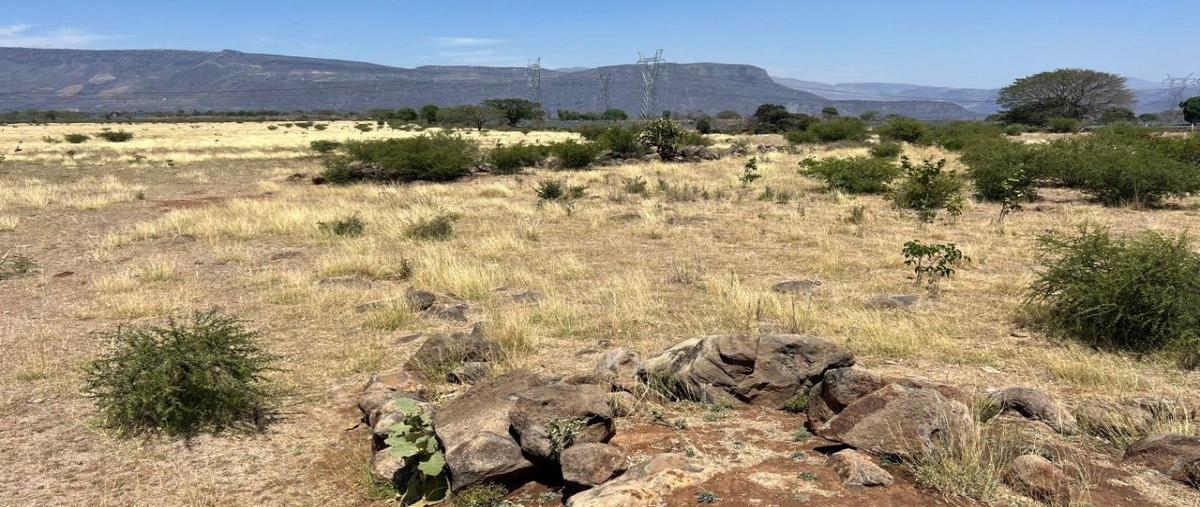 Foto de terreno habitacional en venta en  , amatitan, amatitán, jalisco, 27995421 No. 04