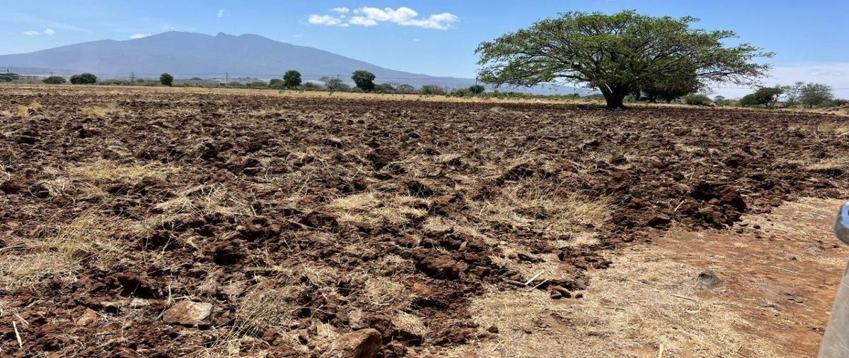 Foto de terreno habitacional en venta en  , amatitan, amatitán, jalisco, 28003087 No. 03