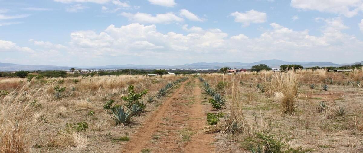 Foto de terreno habitacional en venta en  , amatitan, amatitán, jalisco, 0 No. 04