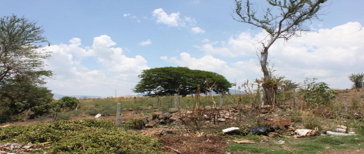 Foto de terreno habitacional en venta en  , amatitan, amatitán, jalisco, 0 No. 05