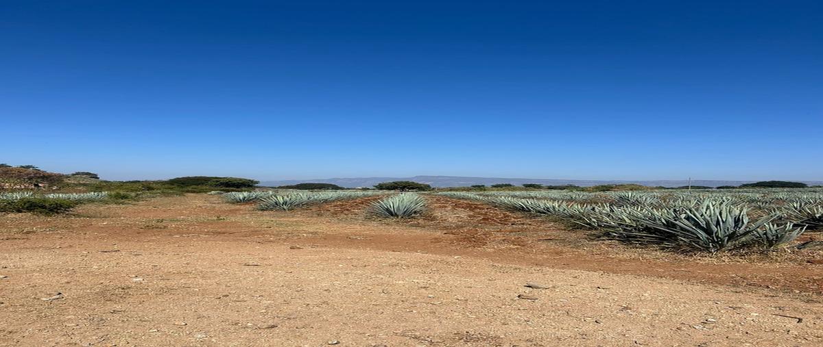 Foto de terreno habitacional en venta en  , amatitan, amatitán, jalisco, 0 No. 03