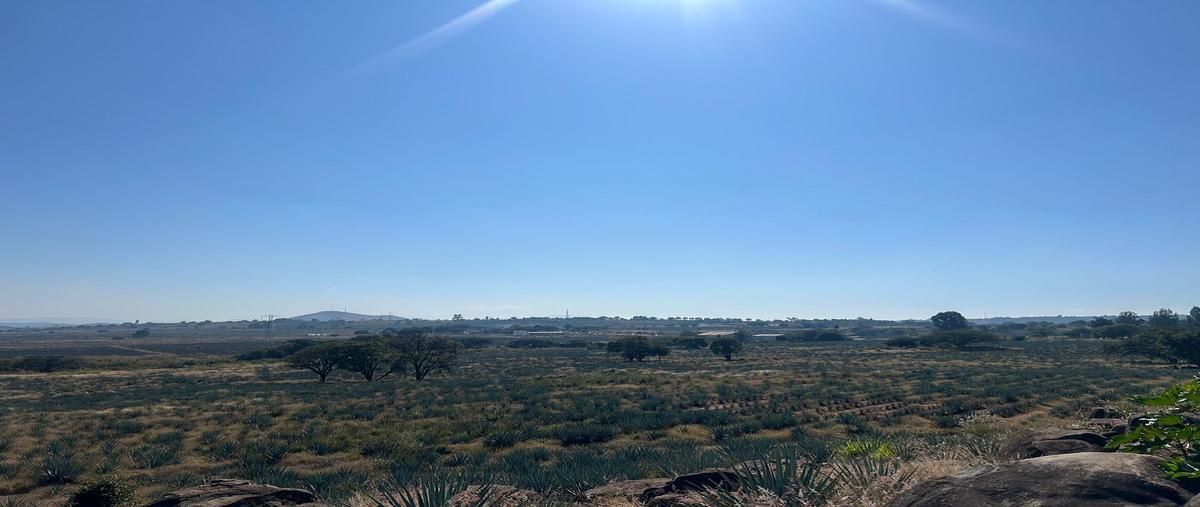 Foto de terreno comercial en venta en  , amatitan, amatitán, jalisco, 0 No. 03