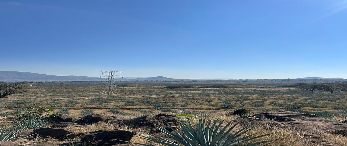 Foto de terreno comercial en venta en  , amatitan, amatitán, jalisco, 0 No. 04