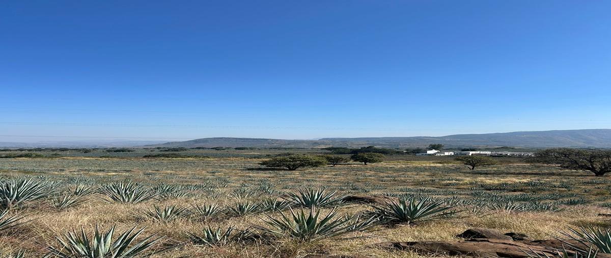 Foto de terreno comercial en venta en  , amatitan, amatitán, jalisco, 0 No. 05