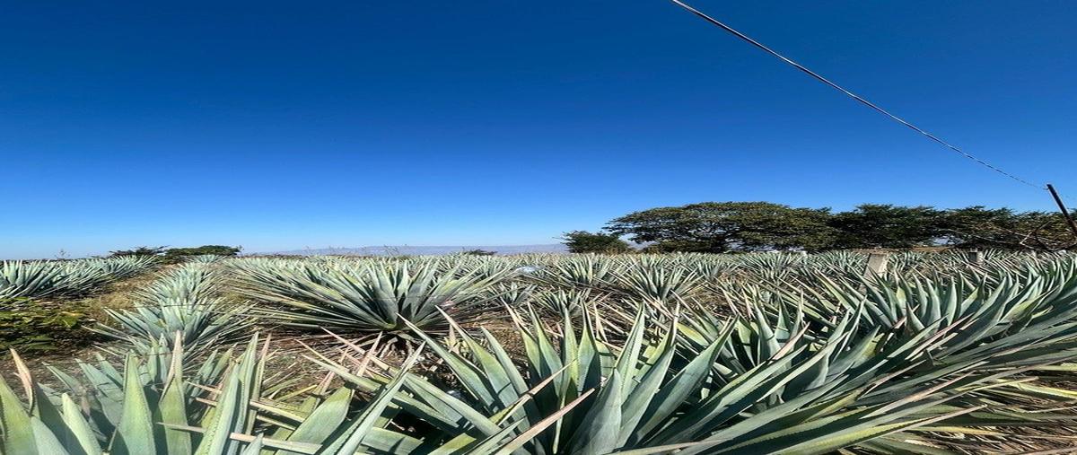 Foto de terreno habitacional en , amatitan, amatitán, jalisco, 30771097 foto 04 Foto de terreno habitacional en venta en , amatitan, amatitán, jalisco, 30771097 No. 04