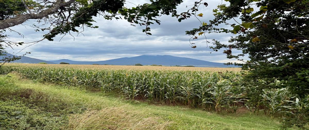 Foto de terreno habitacional en , amatitan, amatitán, jalisco, 0 foto 01 Foto de terreno habitacional en venta en , amatitan, amatitán, jalisco, 0 No. 01