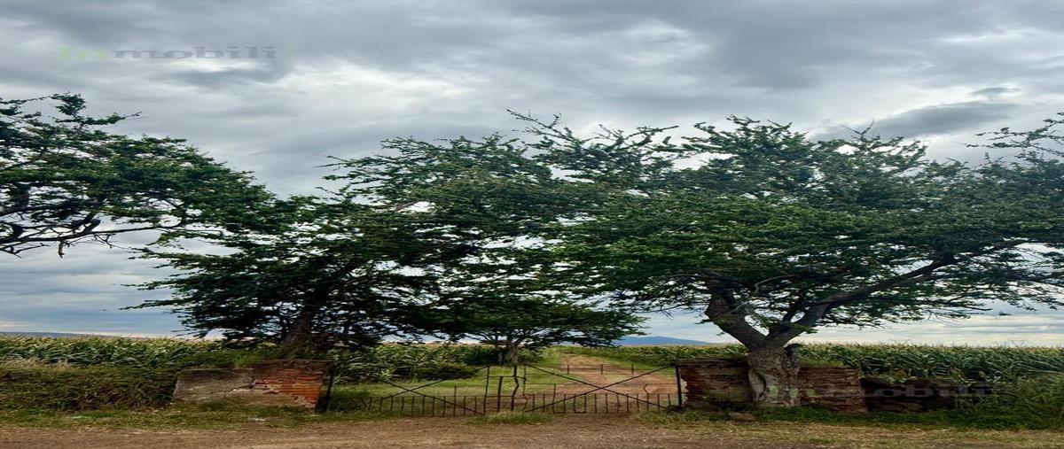 Foto de terreno habitacional en , amatitan, amatitán, jalisco, 0 foto 04 Foto de terreno habitacional en venta en , amatitan, amatitán, jalisco, 0 No. 04