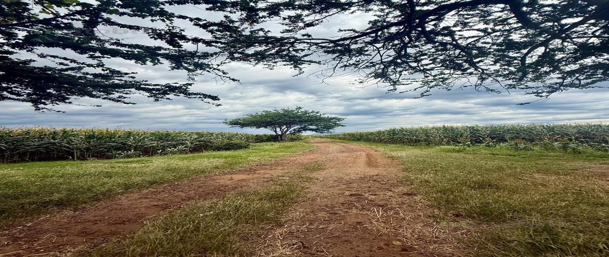 Foto de terreno habitacional en , amatitan, amatitán, jalisco, 0 foto 05 Foto de terreno habitacional en venta en , amatitan, amatitán, jalisco, 0 No. 05