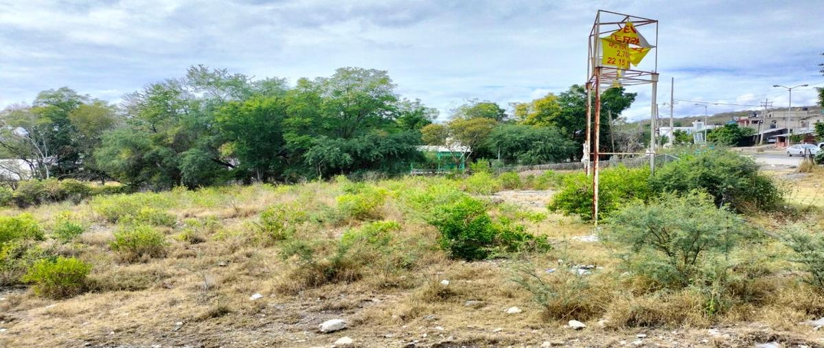 Foto de terreno habitacional en venta en  , amatitlanes, izúcar de matamoros, puebla, 27510255 No. 03