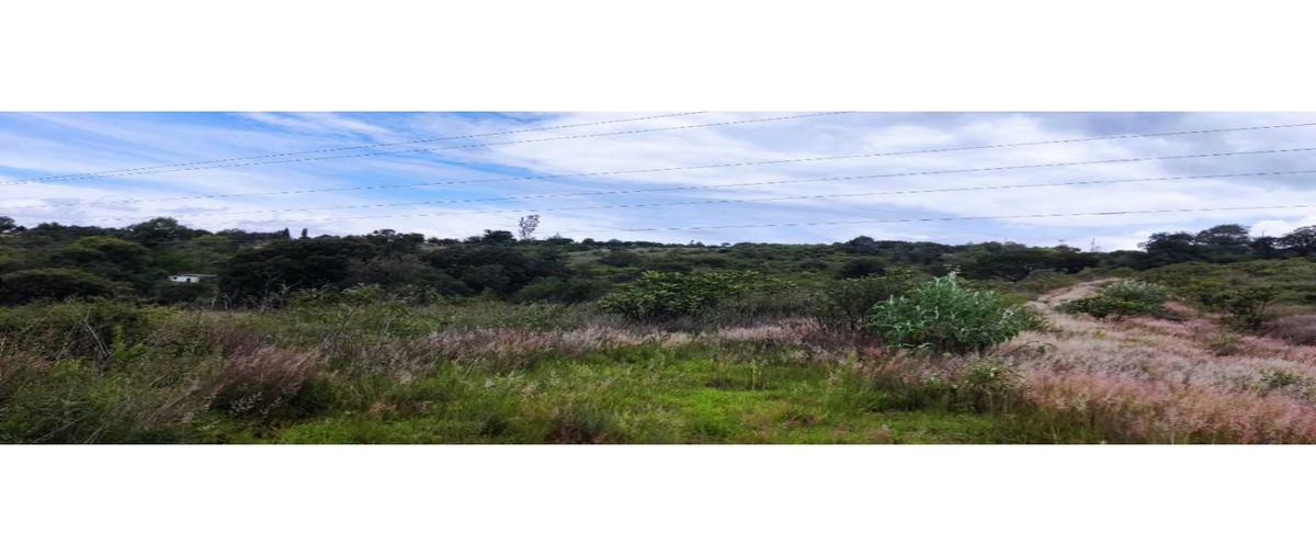 Foto de terreno habitacional en venta en  , amaxac de guerrero, amaxac de guerrero, tlaxcala, 25348186 No. 03