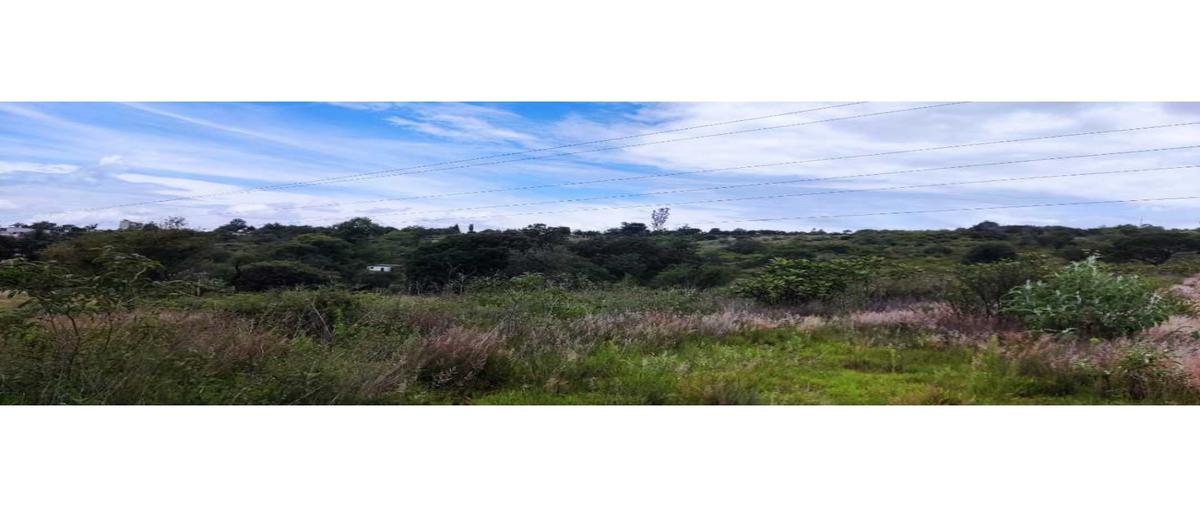 Foto de terreno habitacional en venta en  , amaxac de guerrero, amaxac de guerrero, tlaxcala, 25348186 No. 04