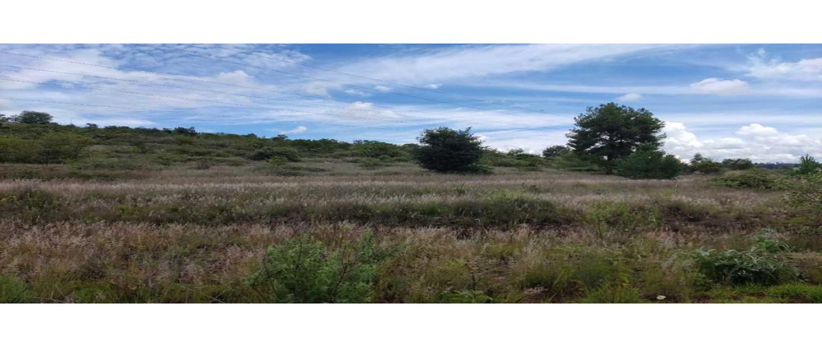 Foto de terreno habitacional en venta en  , amaxac de guerrero, amaxac de guerrero, tlaxcala, 25348186 No. 05