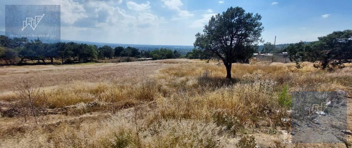 Foto de terreno habitacional en venta en  , amaxac de guerrero, amaxac de guerrero, tlaxcala, 0 No. 03